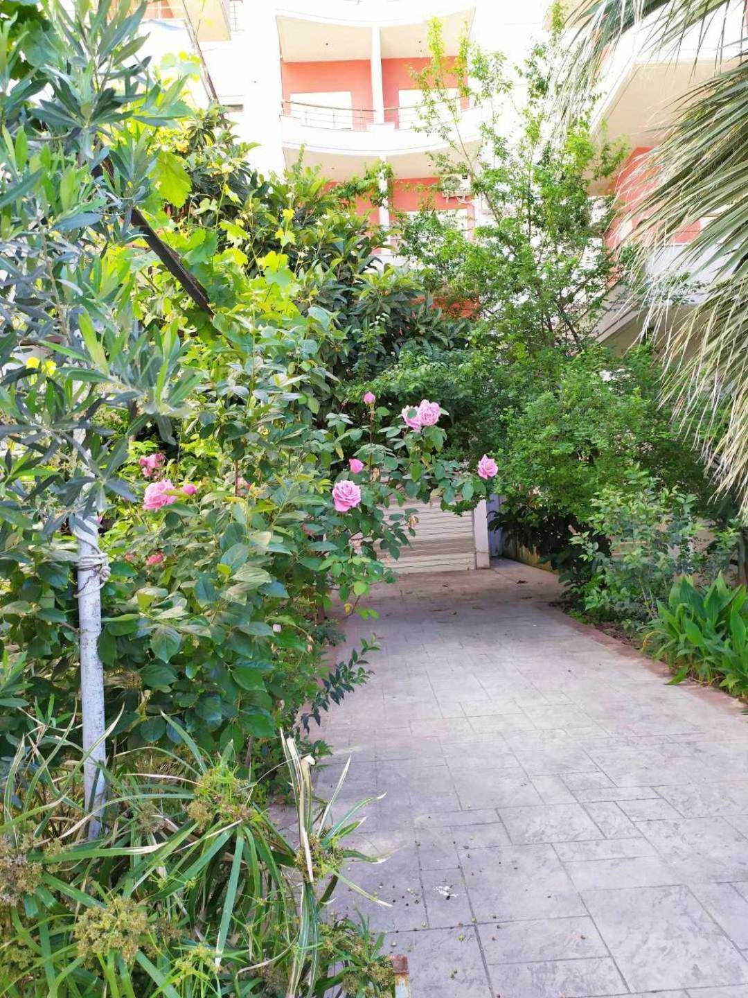Valbona Apartments Vlorë Eksteriør bilde